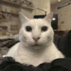 Meet your Posher, Jack